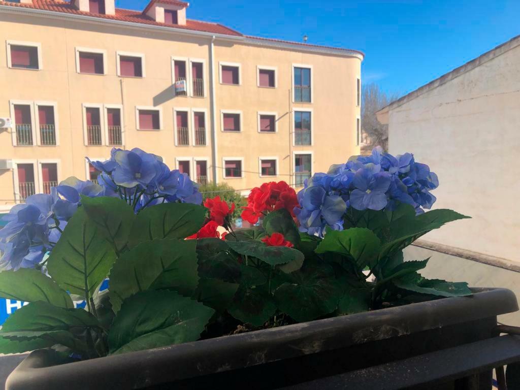 Home Sancle San Clemente  Zewnętrze zdjęcie